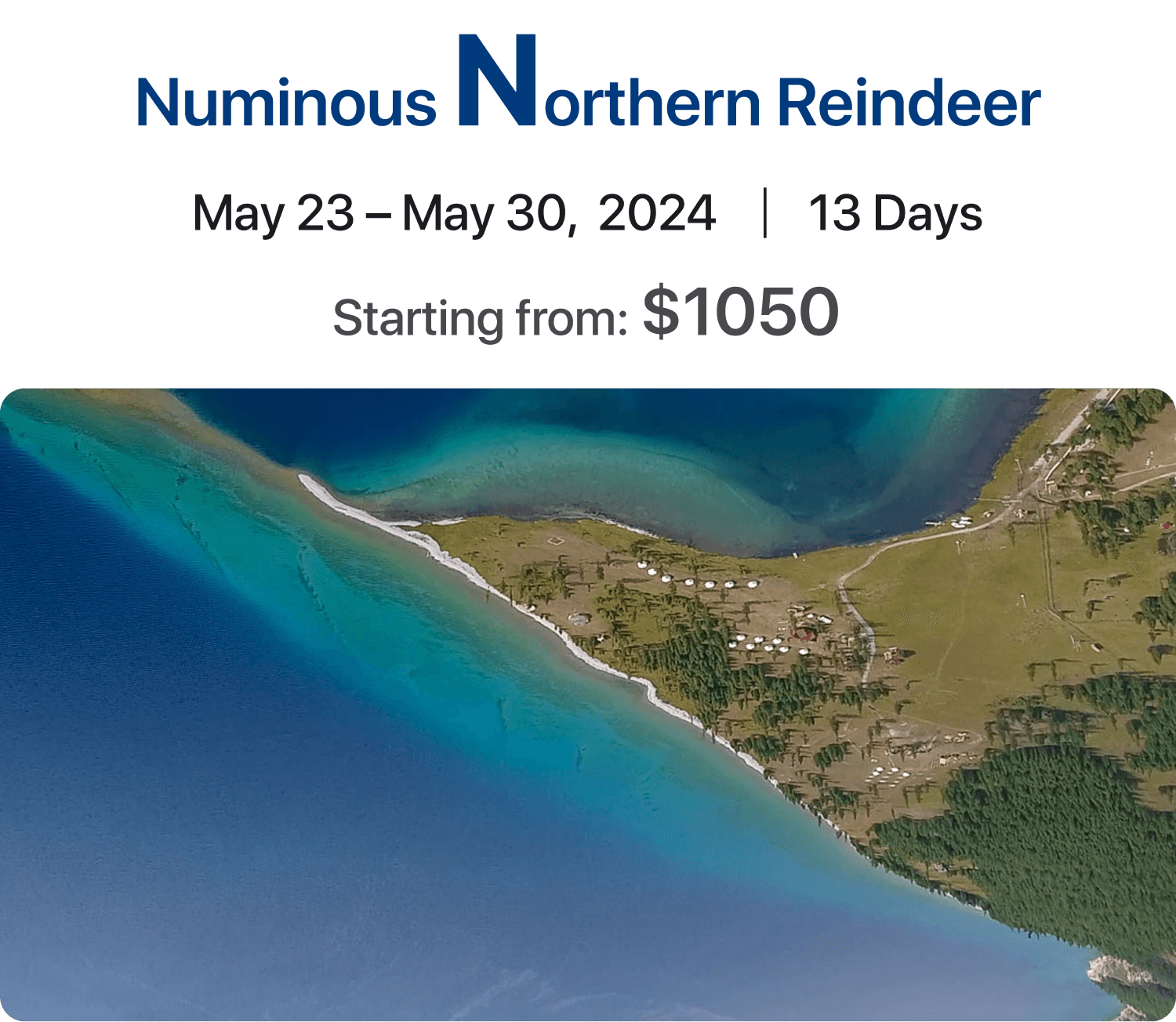 Numinous Northern Reindeer