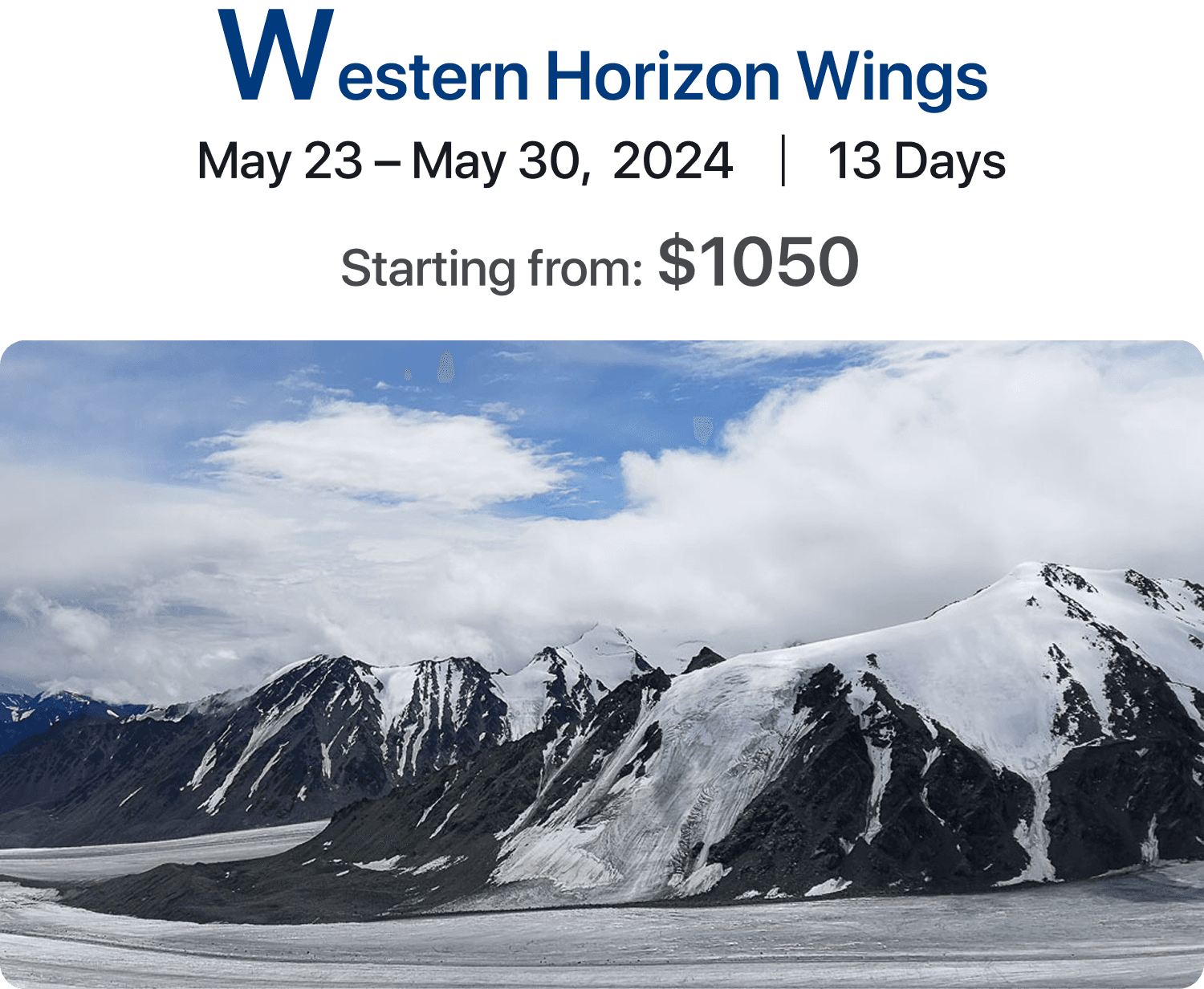 Western Horizon Wings