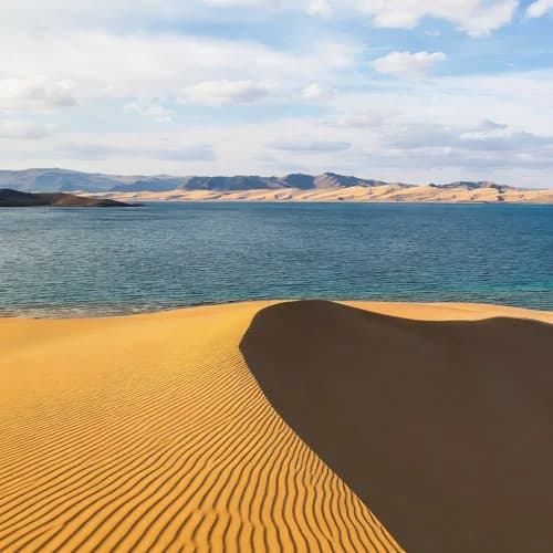 Desert Waves