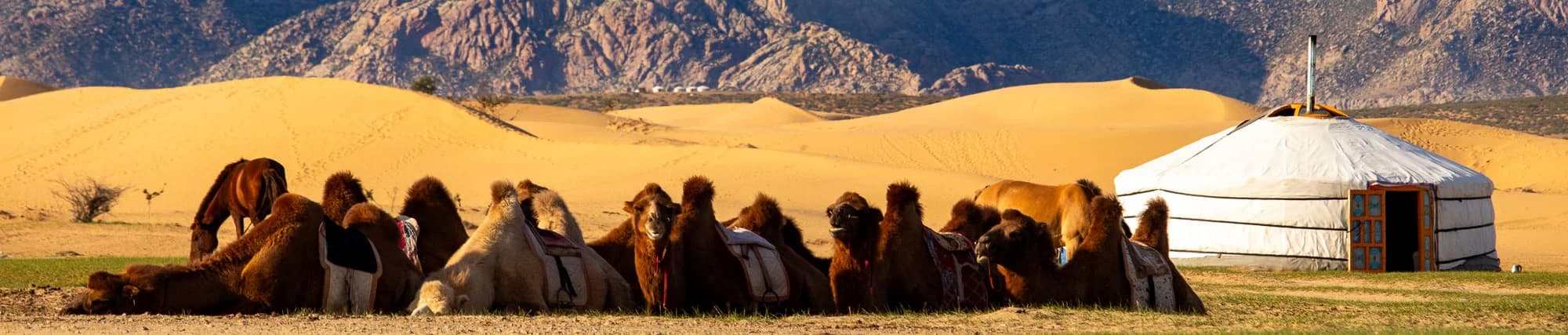 Brave New Mongolia landscape